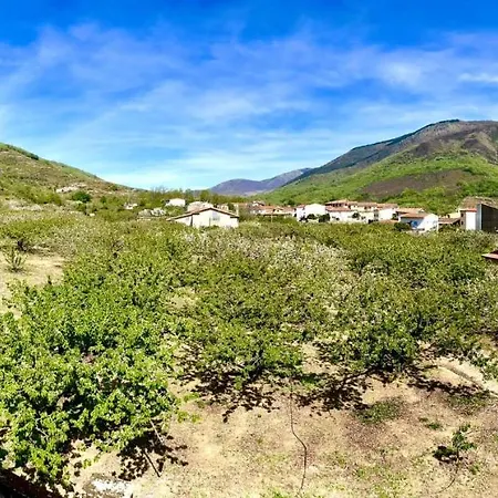 Casa Brigida * Jerte