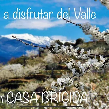 Hébergement de vacances Casa Brigida