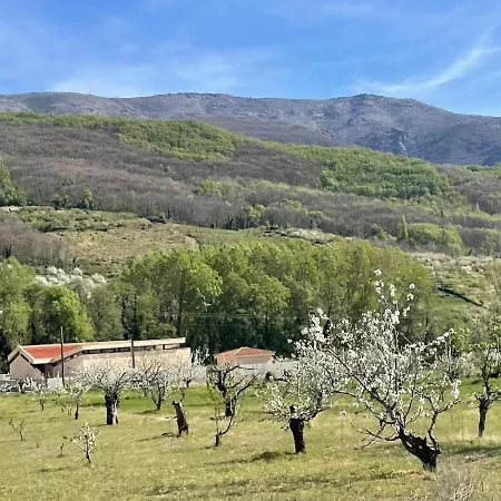 Casa Brigida