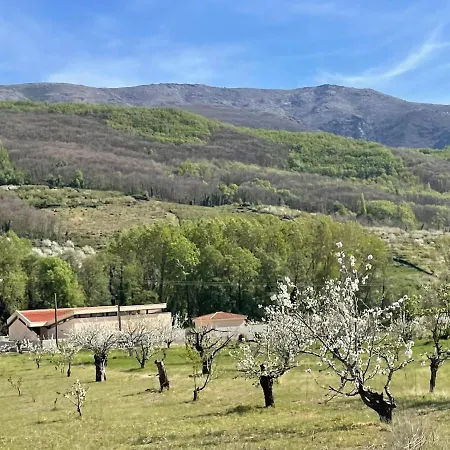Casa Brigida