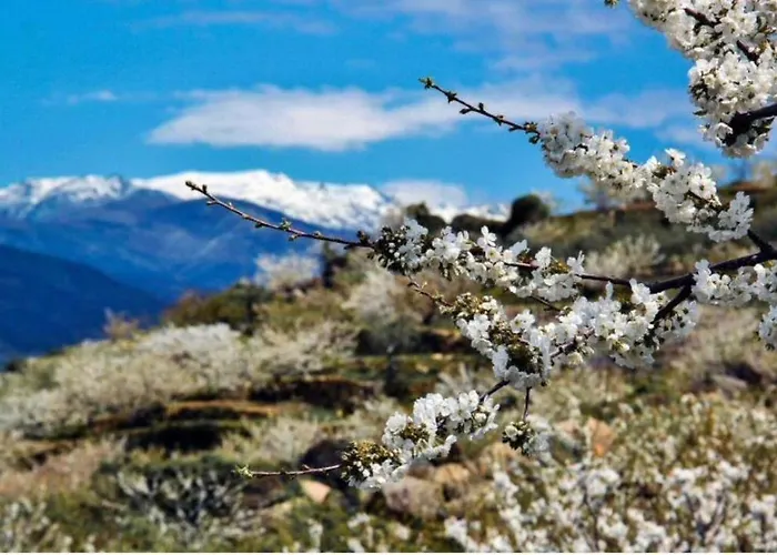Casa Brigida Ferienhaus *